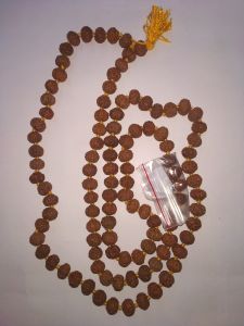 7 Mukhi Rudraksha Mala 108+1 Indonesian Beads – Lab Certified