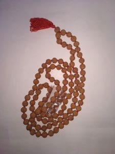 6 Mukhi Rudraksha Mala 108+1 Indonesian Beads – Lab Certified
