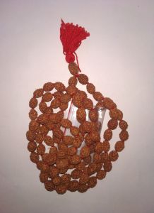 4 Mukhi Rudraksha Mala 108+1 Indonesian Beads – Lab Certified