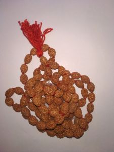 3 Mukhi Rudraksha Mala 108+1 Indonesian Beads – Lab Certified