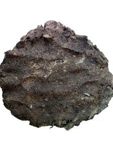  Desi Cow Dung Cakes Used as Dry Cow Dung Manure for Havan (5 No's)