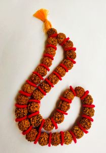 Original Five Mukhi Rudraksha Kantha Mala 32+1 Beads